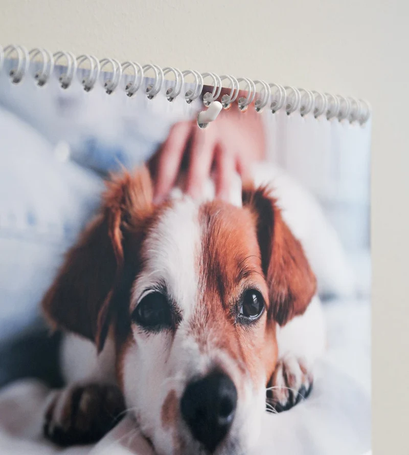 Haken - Selbstklebender Haken für Wandkalender
