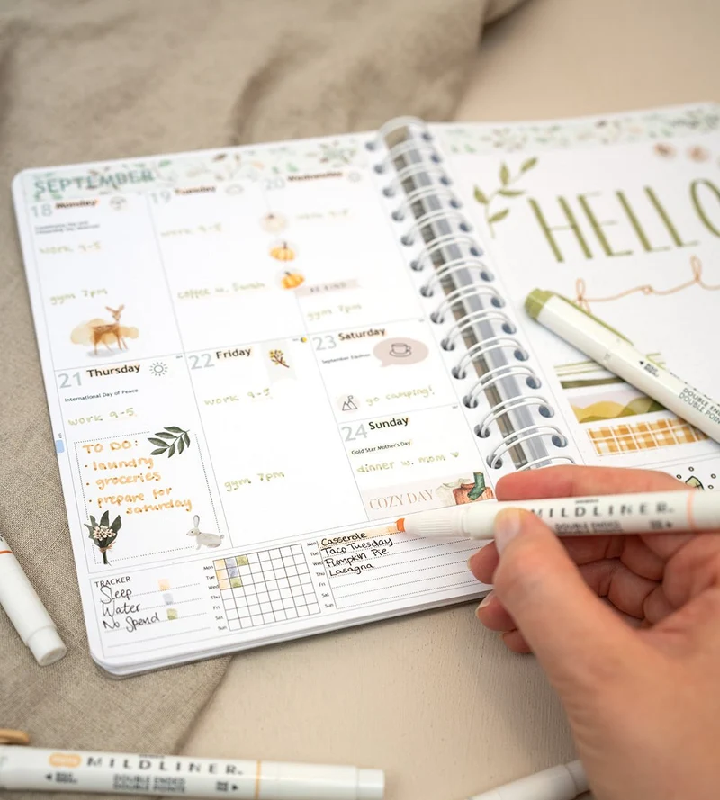 Textmarker - Zebra Mildliner 5er Set