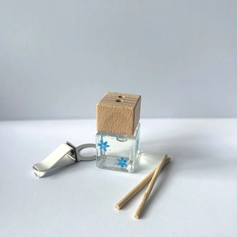 Auto Diffuser - Nachfüllflasche + Reeds