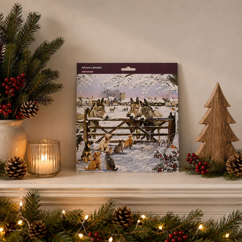 Christmas Donkeys Traditional Picture Advent Calendar, 21.3cm Square