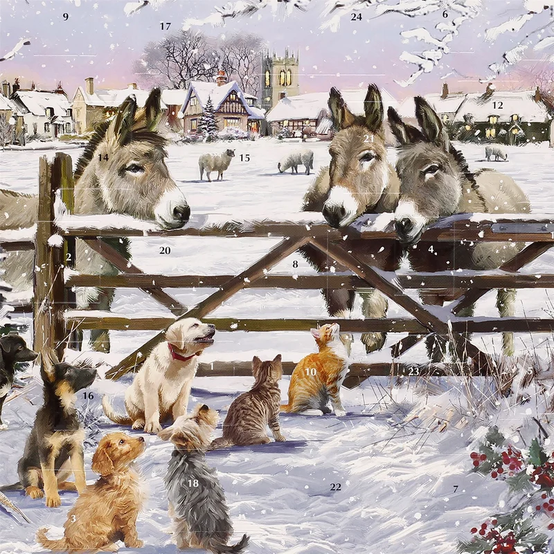 Christmas Donkeys Traditional Picture Advent Calendar, 21.3cm Square