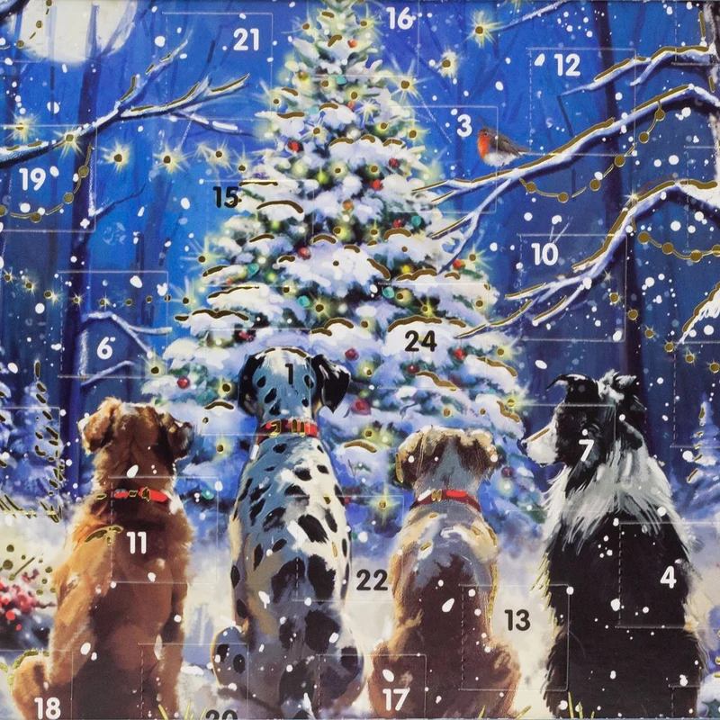 Waiting for Santa Christmas Advent Calendar | Traditional Advent Calendar