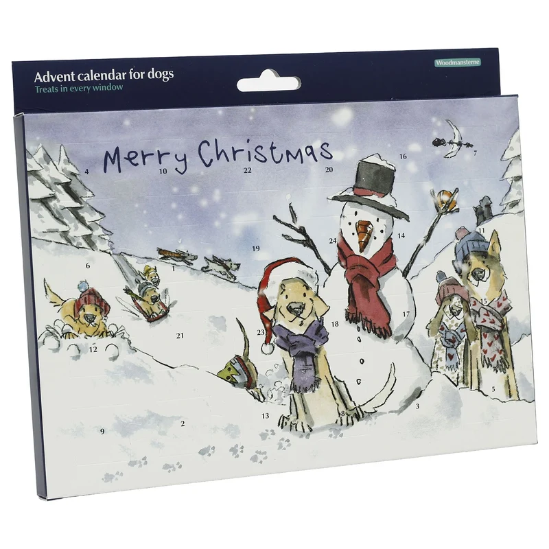 Dog Treat Advent Calendar, Turkey Christmas Countdown with Numbered Doors