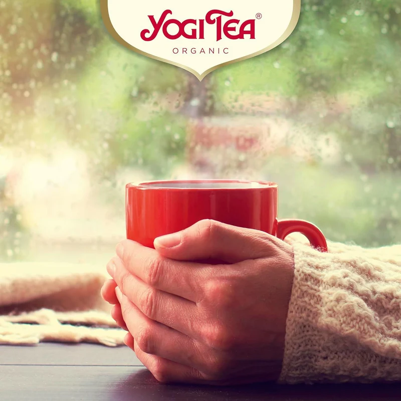 Yogi Tea Organic Christmas Advent Calendar | 24 Ayurvedic Herbal & Spiced Teas