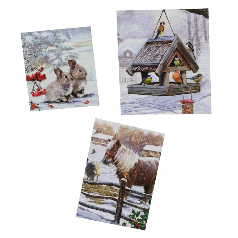 Christmas with Animals Advent Calendar | Traditional Picture Advent Calendar