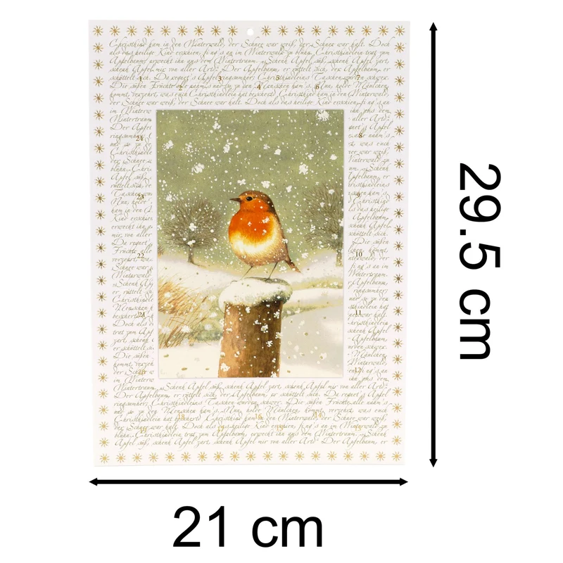 Christmas Robin Advent Calendar | Traditional Winter Scene with 24 Festive Doors