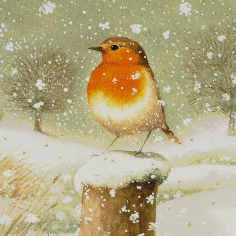 Christmas Robin Advent Calendar | Traditional Winter Scene with 24 Festive Doors