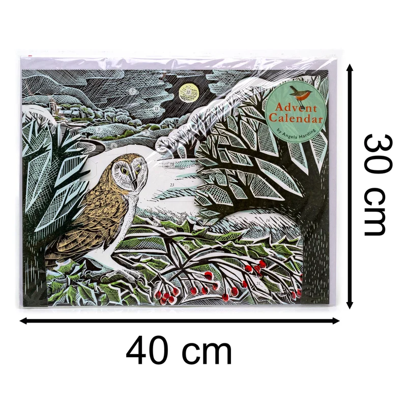 Owl in Winter Pop-up 3D Advent Calendar | Bird Christmas Calendar - 40x30cm