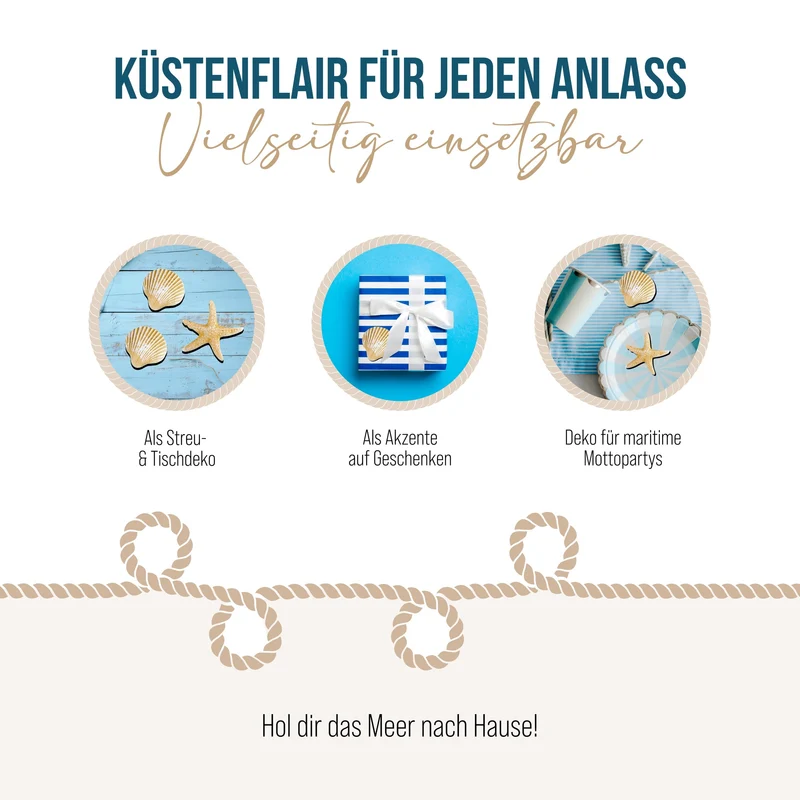16-teiliges beiges Deko Set mit Muscheln + Seesternen - mit Klebepunkt zum Aufkleben
