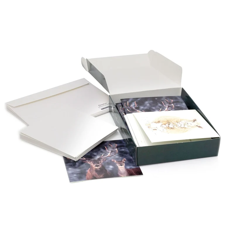 Pack of 20 National Trust Charity Christmas Greeting Cards | Winter Wildlife